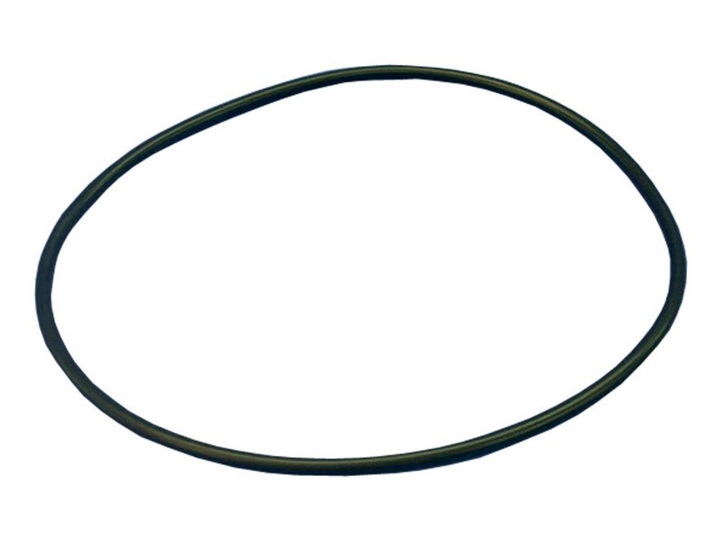 Speck | Speck O-Ring Für Deckel Speck Bettar BADU Top 412.1 - Schwimmbadbau Bei GmbH Bestellen - Foto 9